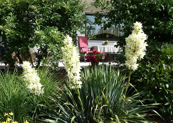 Neumann Герсфельд