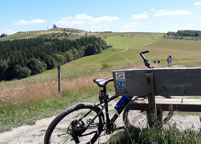 Апартаменты Neumann