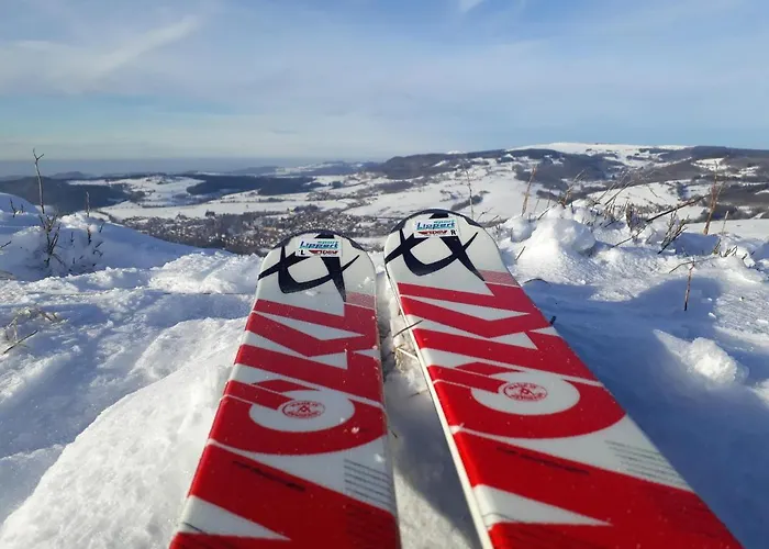 Апартаменты Neumann *